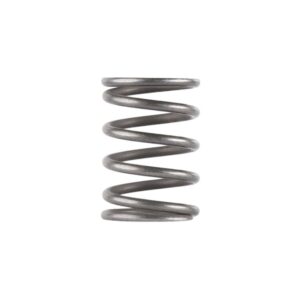 Dead Air Piston Spring for Ghost Odessa and Mojave 9