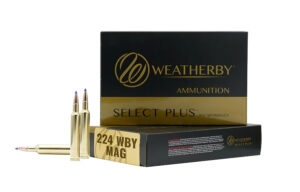 Weatherby R224805FBT   224WthbyMag 80.5gr 20 Per Box/10 Case