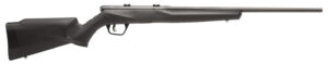Savage Arms 70840 B17 F Compact 17 HMR 10+1 18" Matte Black Button Rifled Barrel, Matte Black Drilled & Tapped Carbon Steel Receiver, Matte Black Fixed Synthetic Stock, Left Hand