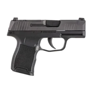 SIG SAUER P365 380ACP PSTL BLK NIGHT SIGHTS 2-10RD MAGS