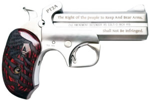 Bond Arms PT2A Protect the 2nd Amendment 38 Special,357 Mag 4.25" 2 Round Stainless Steel Rosewood Grip