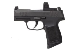 SIG SAUER P365 380ACP ZERO ELITE 10+1  #