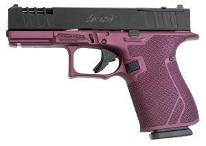 Great Lakes Firearms GL19CHY Striker  9mm 15+1 4" Front/Rear Serrations Cerakote Black Cherry