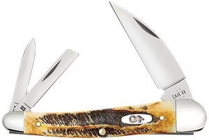 Case 65347 Seahorse Whittler Seahorse Whittler Folding Coping/Pen/Wharncliffe Plain Mirror Polished Tru-Sharp SS Blade, Burnt Dark Amber 6.5 BoneStag Handle