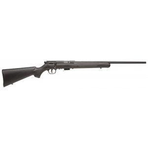 SAV 93 F 22MAG 21 RS BLK SYN 5RD DBM