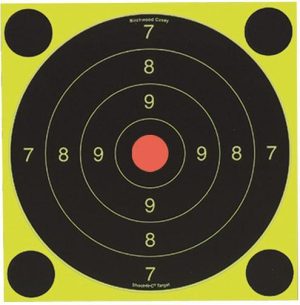 Birchwood Casey Shoot-N-C International Target