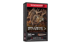 WIN BLSTC TIP 243WIN 95GR 20/200